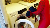 Spiderman & Pink Spidergirl vs Spider In The House! Funny Superhero Movie In Real Life  -) | Superheroes | Spiderman | Superman | Frozen Elsa | Joker