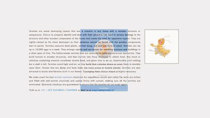 termites control mumbai