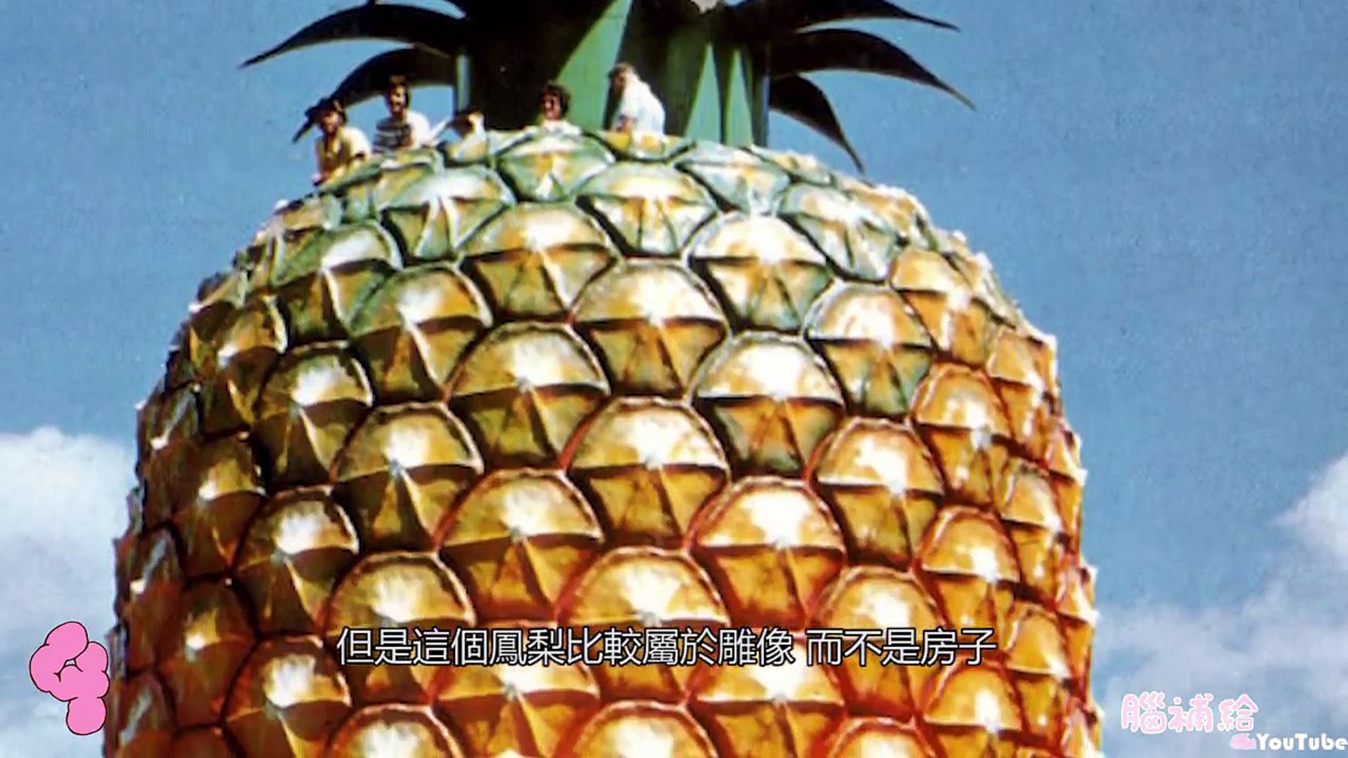 5個在現實生活中的卡通房子