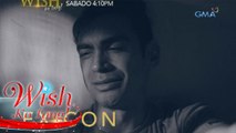 Wish Ko Lang: Ex-con: The 15th Anniversary Special