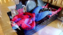 Spiderman vs Venom - In Real Life - Superhero Movie | Superheroes | Spiderman | Superman | Frozen Elsa | Joker