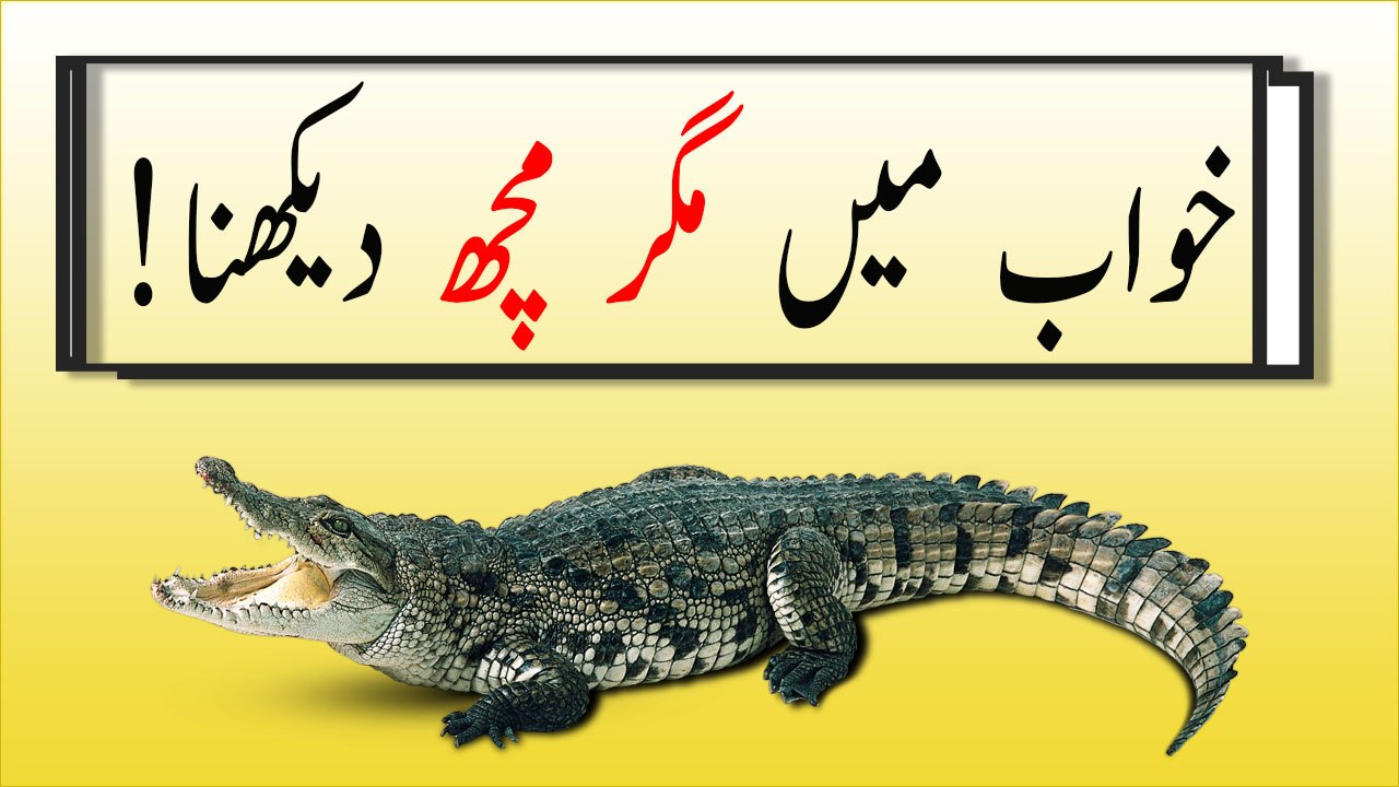 khwabon ki tabeer in urdu -  khwab mein magarmach dekhny ki tabeer