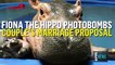 Fiona the Hippo Engagement Photo