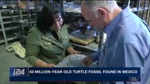 i24NEWS DESK | 65 million-year-old turtle fossil found in Mexico |  Friday, December 1st 2017