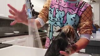 Its Bath Time! **MOST ADORABLE THING YOU WILL EVER SEE!**