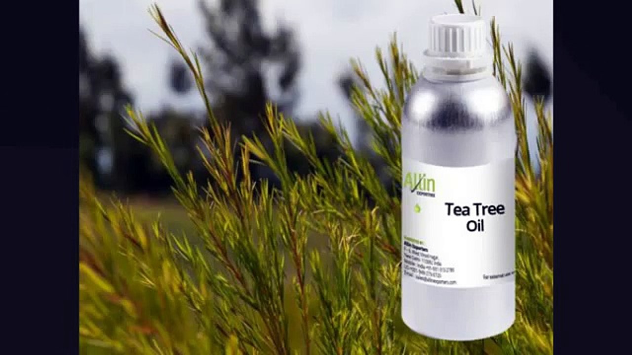 Tea Tree Oil
