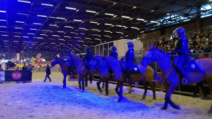 Démonstration de l'unité équestre de la préfecture de Police