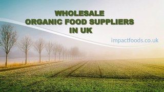 Wholesale Organic Food Suppliers in UK