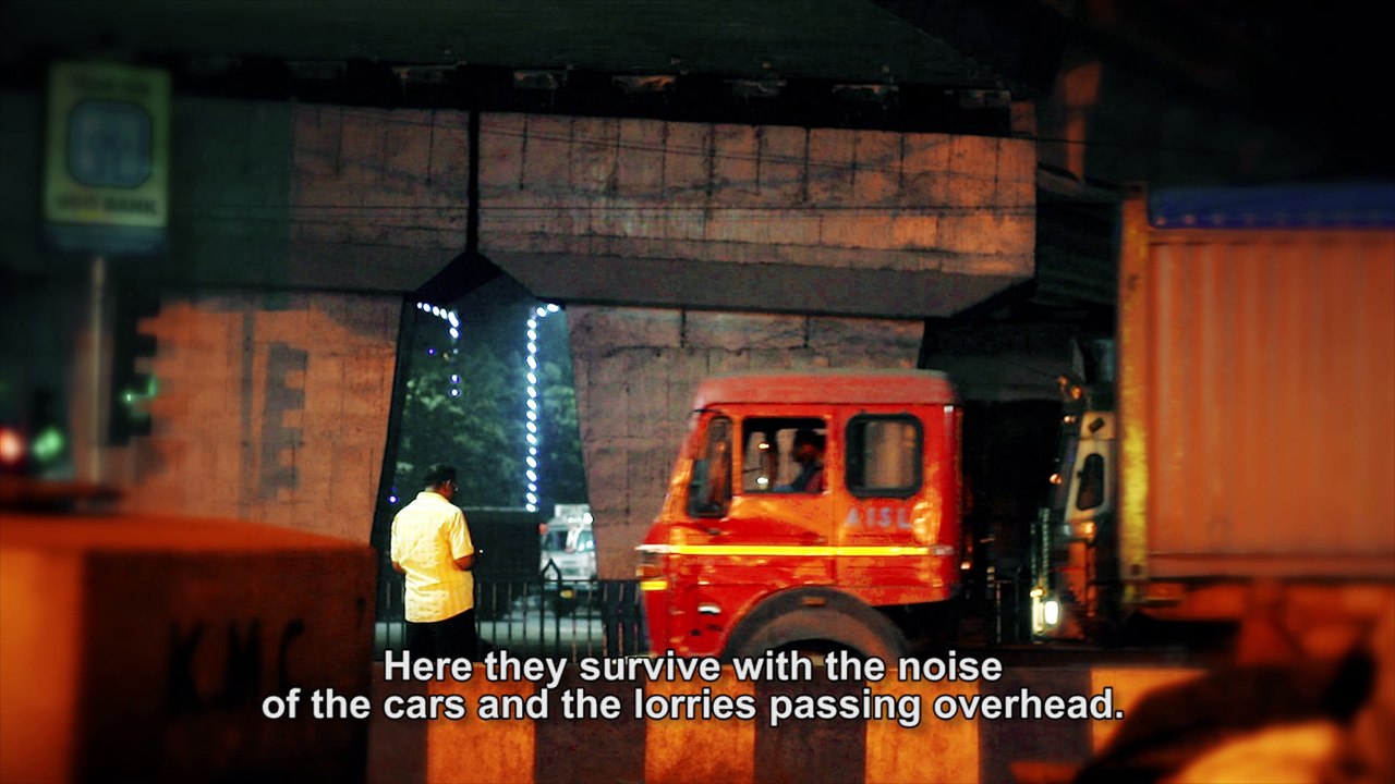 The Hope Foundation - Christmas Appeal 2017