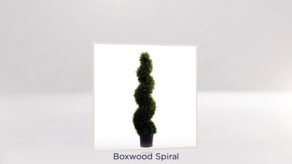 Artificial Plants Suppliers in Dubai