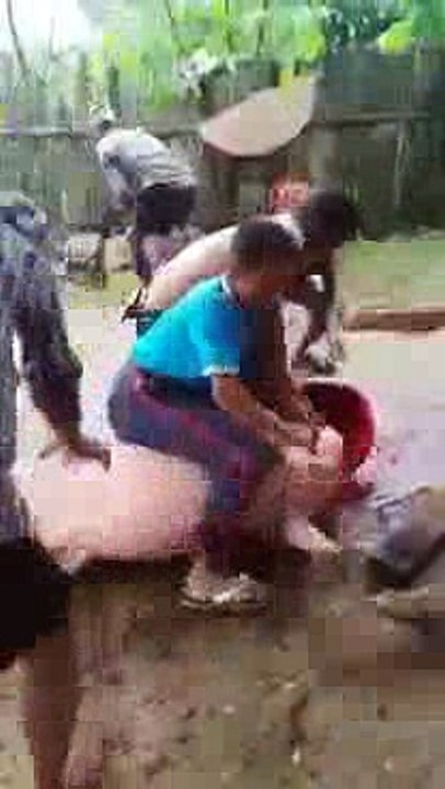 TỘI NGHIỆP QUÁ CÁC BẠN Ạ HÃY TẬP ĂN CHAY NHÉ A DI ĐÀ PHẬT
