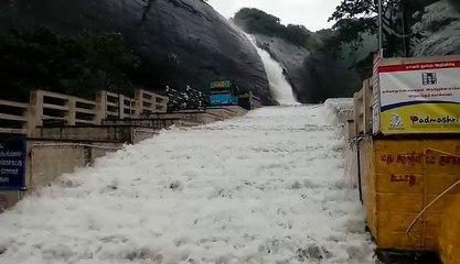 கொடைக்கானலை மிரட்டும் கனமழை.. முக்கிய சுற்றுலாத் தலங்கள் மூடல்! -வீடியோ