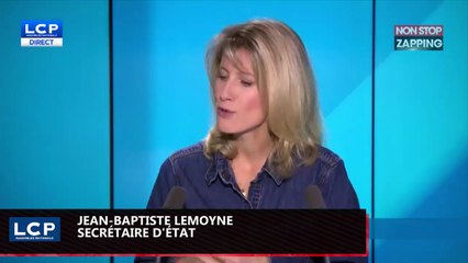 Zap politique : Nicolas Hulot se lâche sur sa fonction de ministre (vidéo)