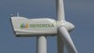 Iberdrola firma dos contratos de suministro de energía renovable con Google