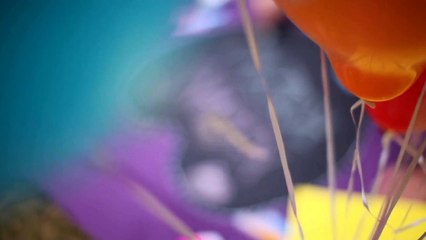 Kids playing area near me