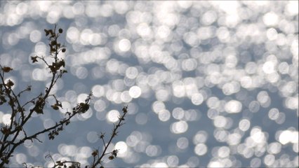 ALEXIS KARPOUZOS COMMUNITY: COSMIC CONSCIOUSNESS