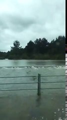 Il roule 20min sur une route.. inondée en Louisiane !!