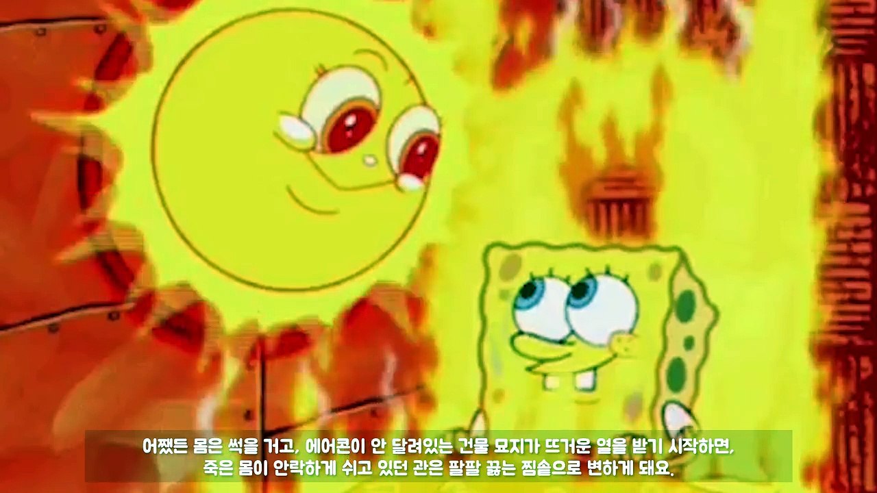 죽은 뒤에 몸에 생기는 충격적인 변화