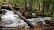 4K Forest Waterfalls at Enchantment Lakes Trail - Nature Sounds of a Waterfall - Trailer