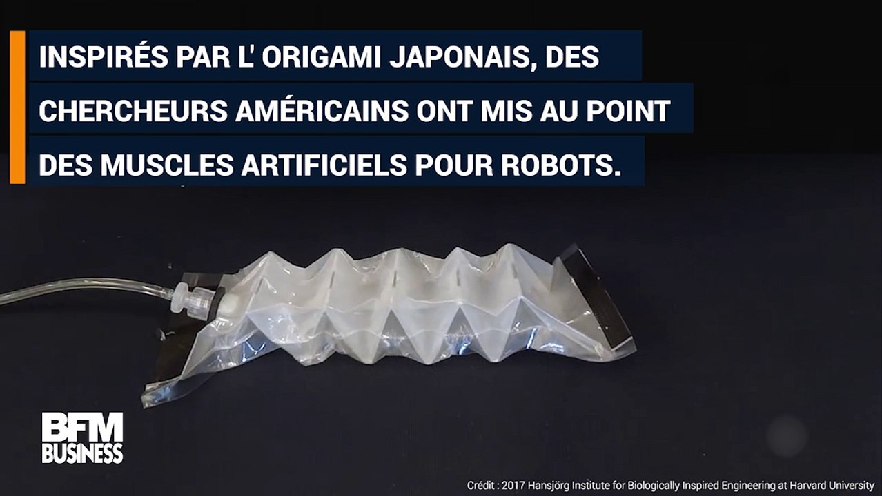 Ces "muscles" permettent aux robots de porter 1150 fois leur poids