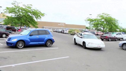 Disturbing The Peace! Bat Prank | Daily Funny | Funny Video | Funny Clip | Funny Animals