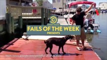 Dog Who Fail At Being Dogs _ Fail Of The Week | Daily Funny | Funny Video | Funny Clip | Funny Animals