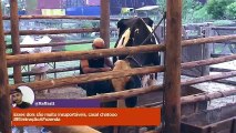 A Fazenda Nova Chance 30-11-2017 Episódio 80 PARTE 2