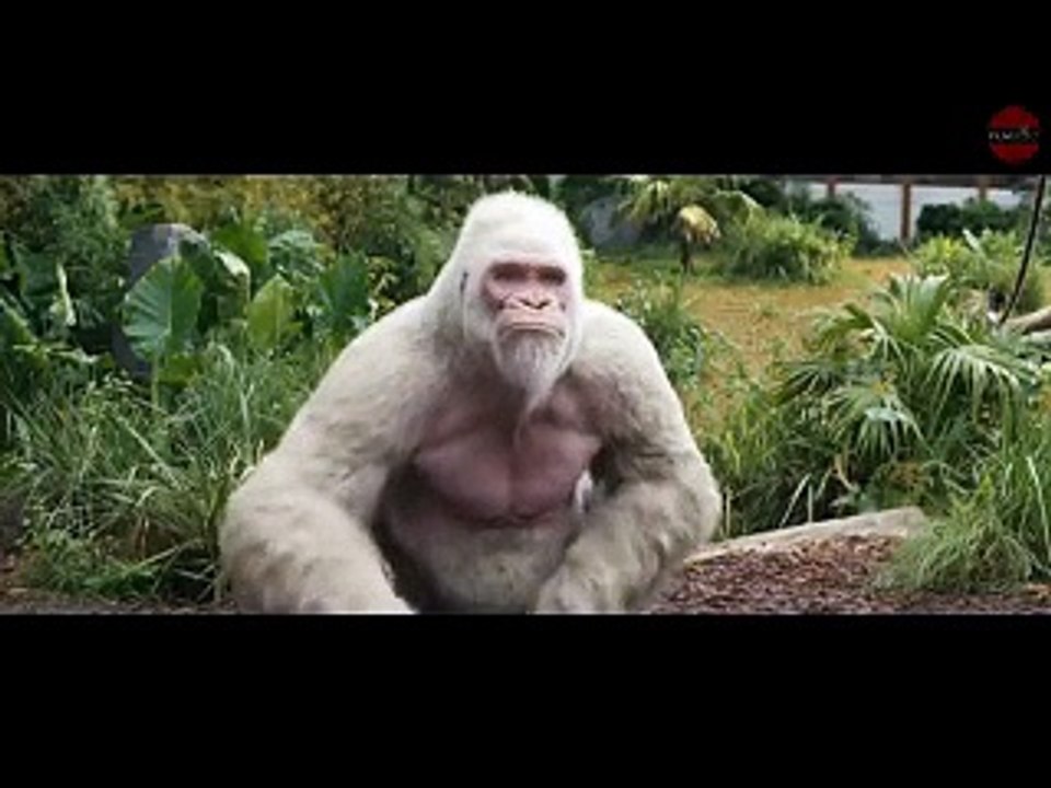 Los mejores trailers 2017