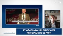 Allemagne : ces députés de l'AfD qui inquiètent