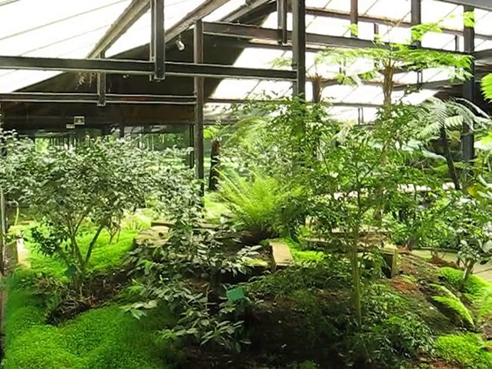 Vincennes-Parc Floral (2)