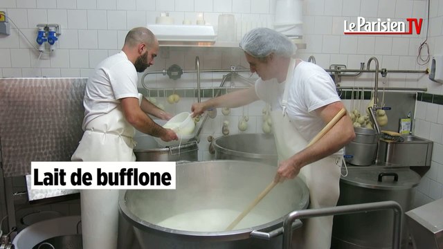 Cinq conseils pour une mozzarella di Bufala au top