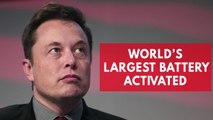 Elon Musk wins bet as Tesla mega-battery is built in just 60 days
