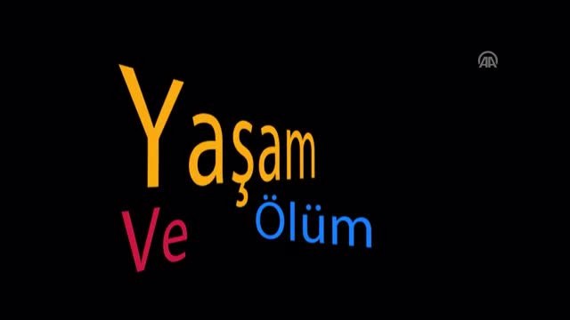 Polis Çocuklarından Emniyet Kemeri Mesajı