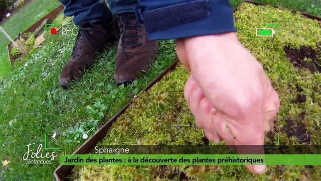 Folies Botaniques au Jardin des Plantes #1