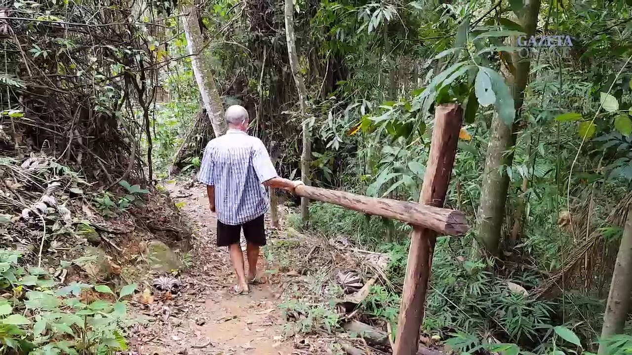 Hidrolâdia