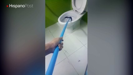 Ir al baño en Tailandia es peligroso, pues te puede salir una serpiente de la poceta