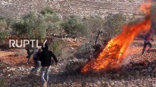 State of Palestine: Clashes after Palestinian shot dead by Israeli settler