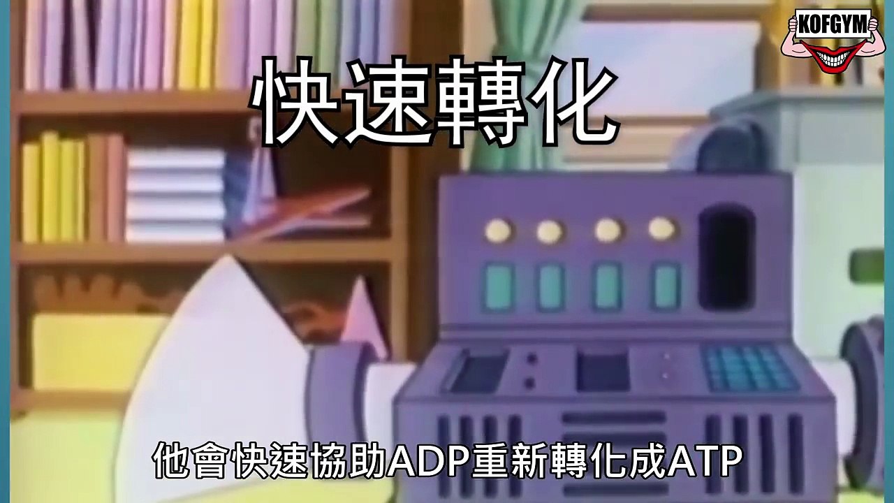 Burger talk乜Show 認清肌酸Creatine原理 中文字幕