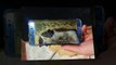 Galaxy Note 7 Explodes in boy's hands-RIXQ73ZZOqE