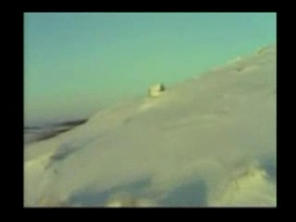 K D Lang Barefoot In The Snow