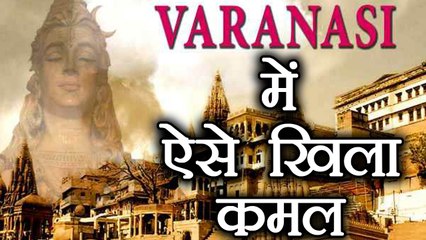 UP Civic Poll Results:PM Modi के संसदीय क्षेत्र Varanasi में ऐसे मिली BJP को जीत । वनइंडिया हिंदी