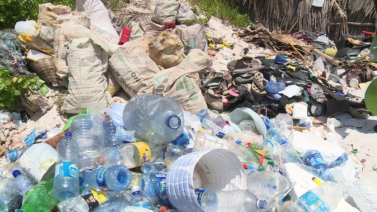 Plastikmüll bedroht Meeresschildkröten