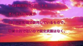 【航空自衛隊】人間離れの神業〜ブルーインパルスはトップガンも超える？！飛行機が好きになってしまう衝撃のパフォーマンス【なぎさチャンネル】