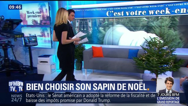 Bien choisir son sapin de Noël
