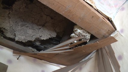 부서진 주택 수리 작업 서둘러야! / YTN