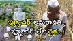 Amaravati : Farmers Pay The Price For 'Capital'