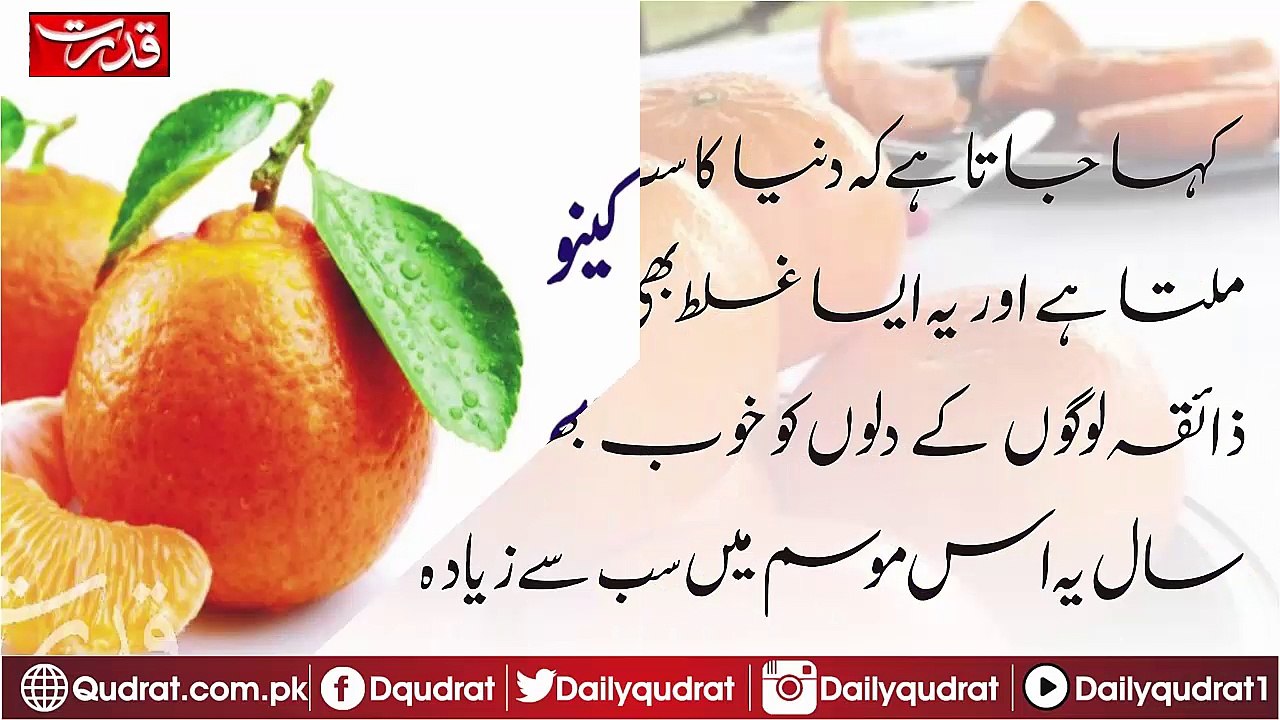 World Best Orange Fruit disturber in to world through Pakistan