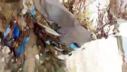 “Kap litarin, lidhe vajzën”/ Lufta për jetë në lumin e Kalasës, zetori bllokohet