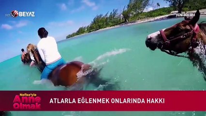 Nefise İle Anne Olmak 2 Aralık 2017