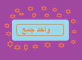 Aao Urdu Seekhein, Learn Urdu for kids class 2 and beginners, L 55, Urdu Wahid jamma, واحد جمع